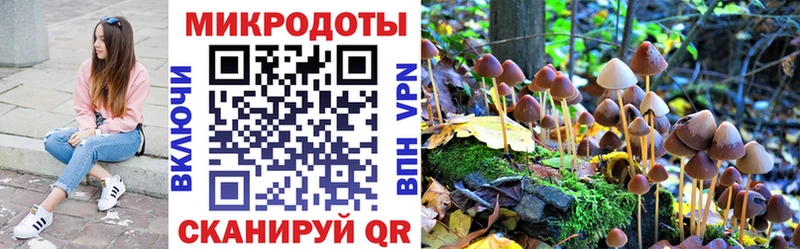 Псилоцибиновые грибы ЛСД  Купить где  Краснодар 